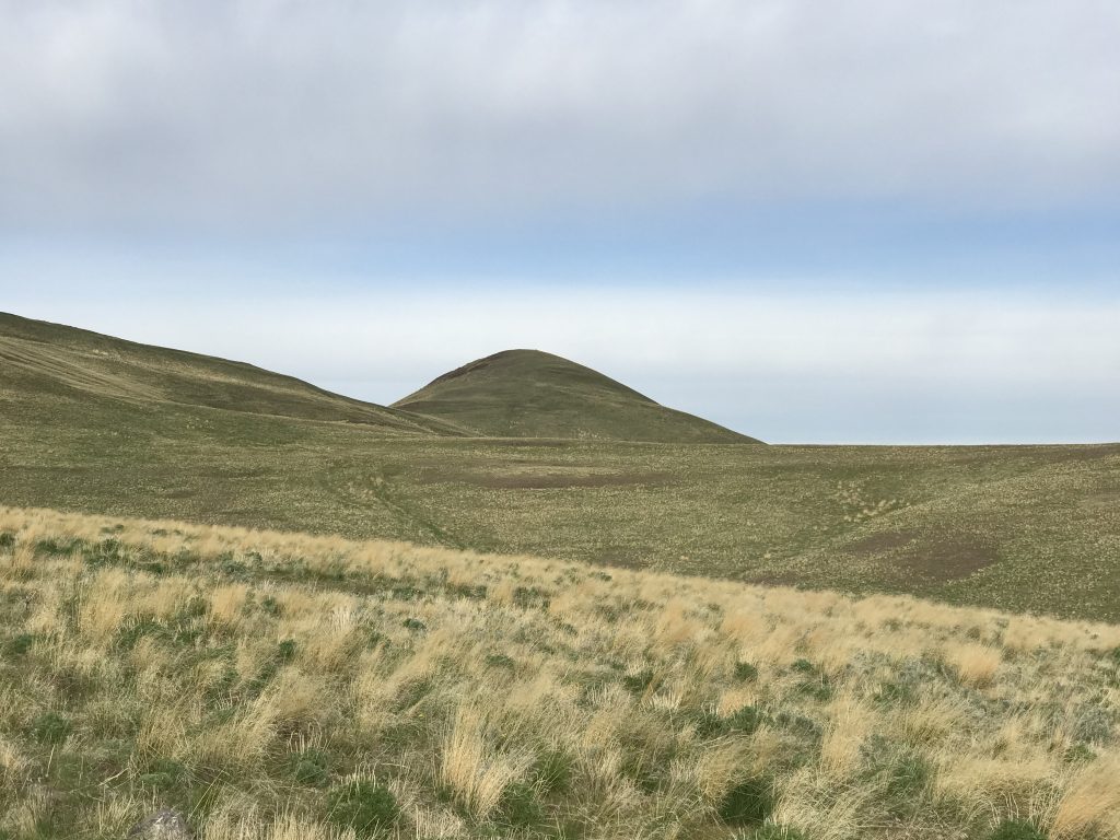 Tims Peak viewed from the east.