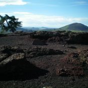 The summit area of Inferno Cone. Note the large lava boulders and nearby pine tree. Big Cinder Butte is in the background. Livingston Douglas Photo