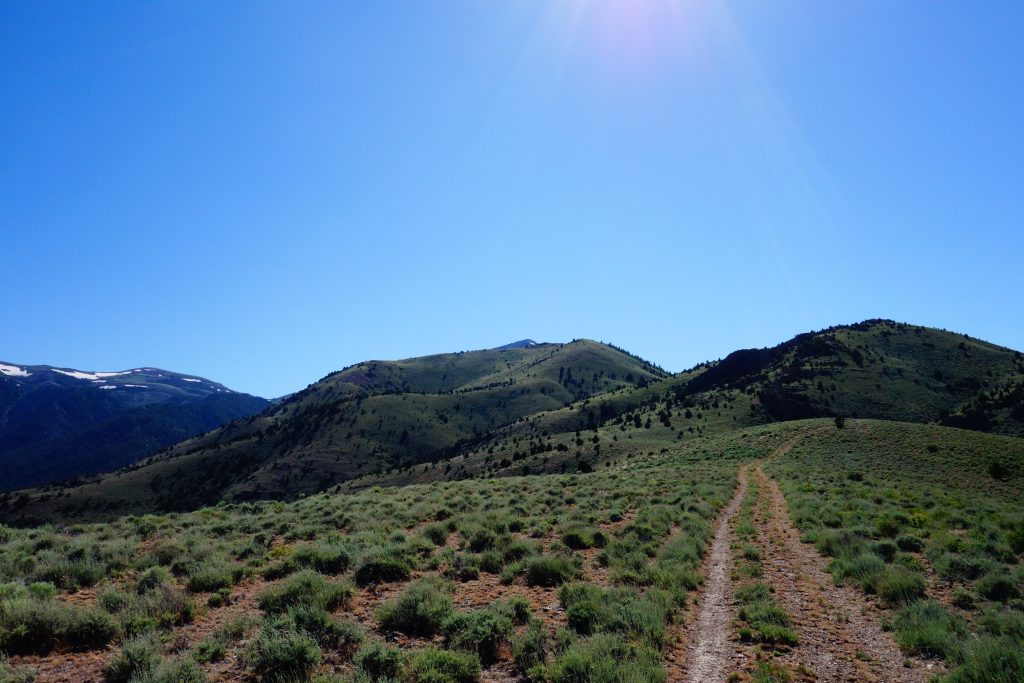 Road C206 leading to Peak 6131 pictured at center. Paul Leclerc Photo 